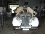 Arch Felton's MK5 with mascot