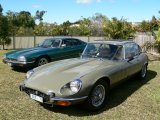 Merv & Lyn Jacksons E type series 3